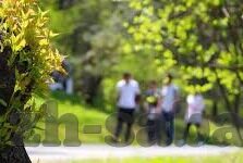 电子足球直播比分-电子足球直播比分，科技赋能下的足球观赛新体验